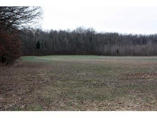 Property photo 1 - LAND AUCTION - 138+/- ACRES OFFERED IN 3 TRACTS IN SPENCER COUNTY, INDIANA
